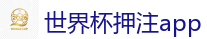 2026世界杯买球官方网站